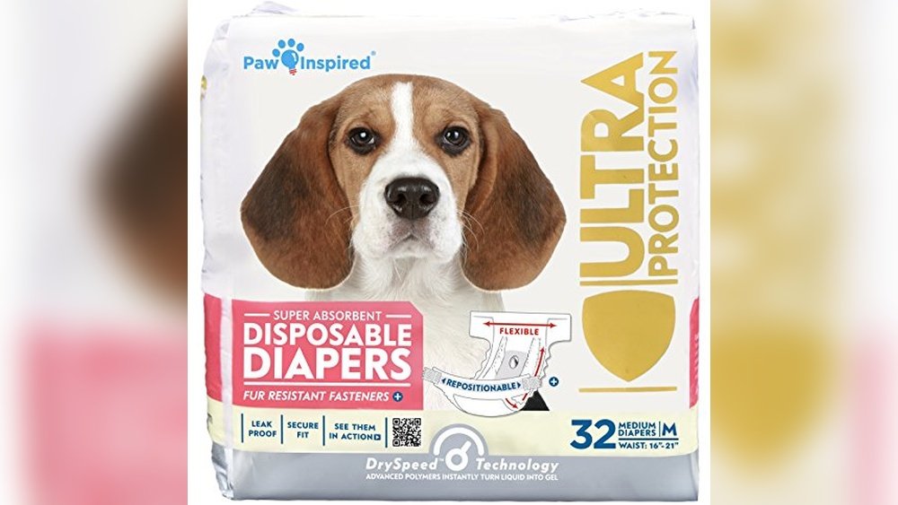 Best Dog Diapers for Incontinence
