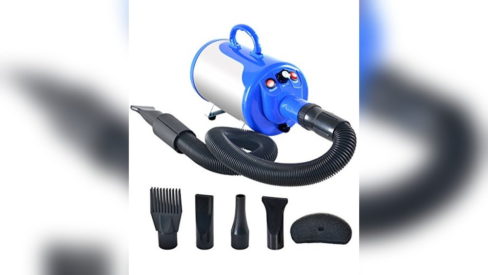 Best Dog Dryer for Grooming