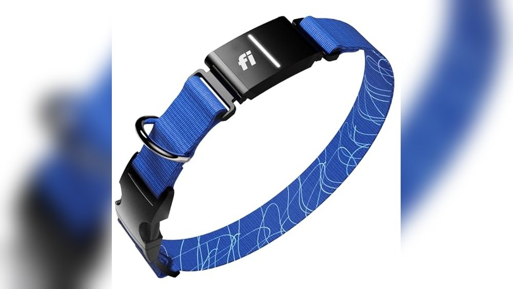 Best Dog Fitness Activity Tracker Collar