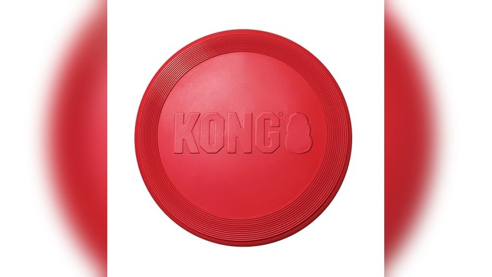 Best Dog Frisbees