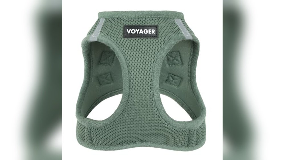 Best Dog Harness for Small Dogs