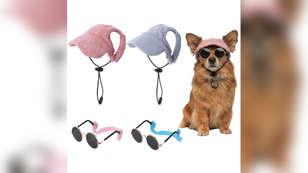 Best Dog Hat And Sunglasses for Photos