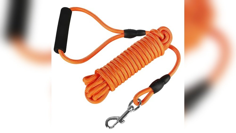 Best Dog Leash for Paddleboarding