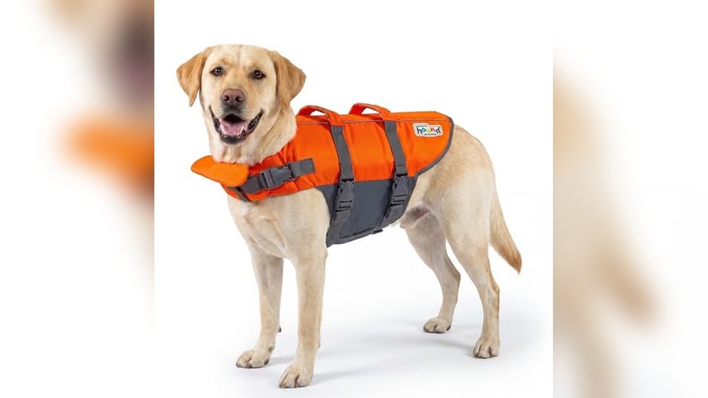 Best Dog Life Jacket
