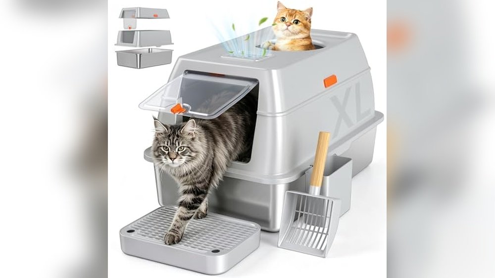 Best Dog Litter Box for Apartments