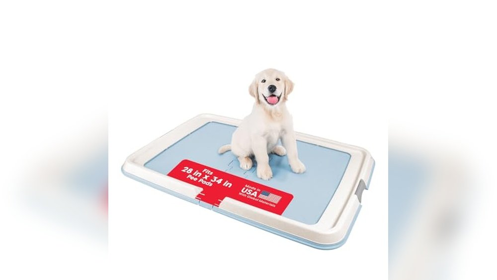 Best Dog Pee Pad Holder Tray for Large Dogs