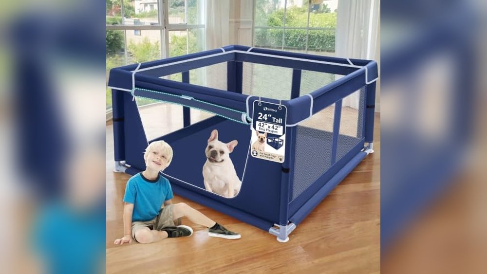 Best Dog Playpen for Puppies
