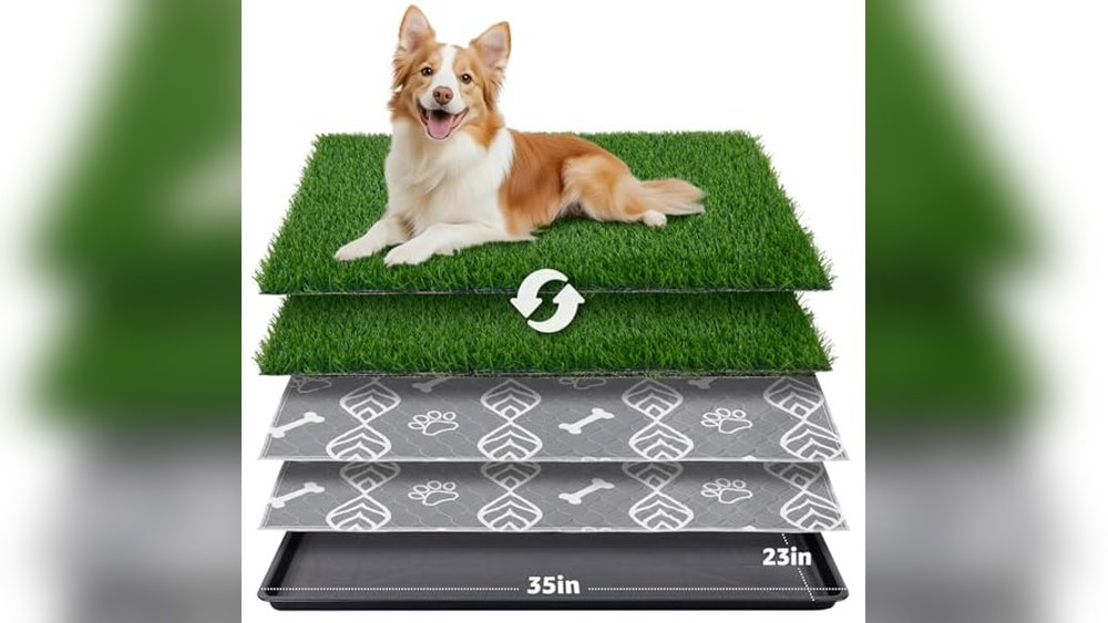 Best Dog Potty Box for Balconies