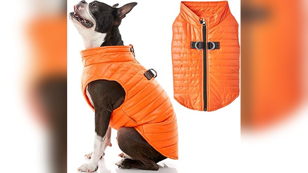 Best Dog Puffer Vest