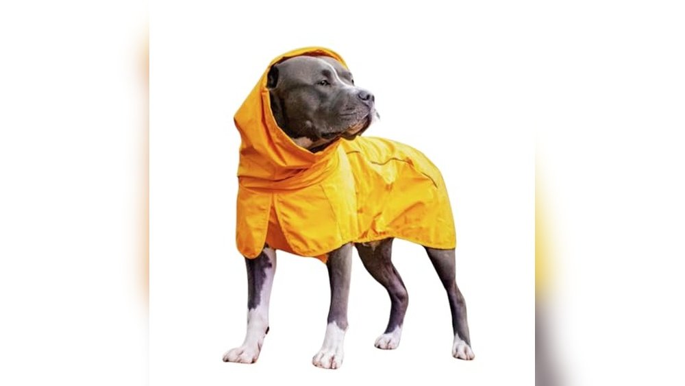 Best Dog Raincoat