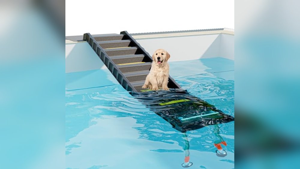 Best Dog Ramp for Bathtub Access