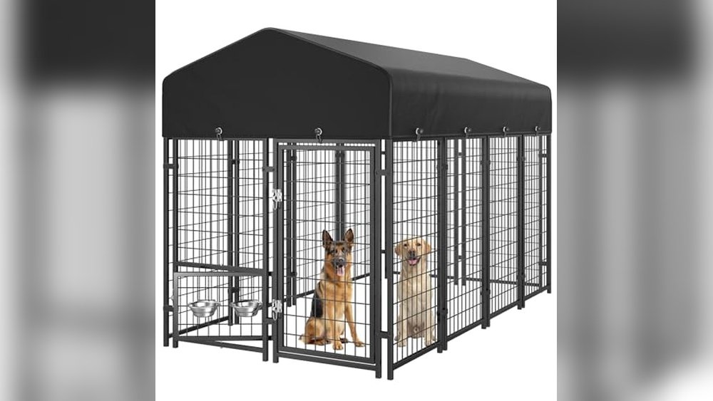 Best Dog Run Kennel for Backyard