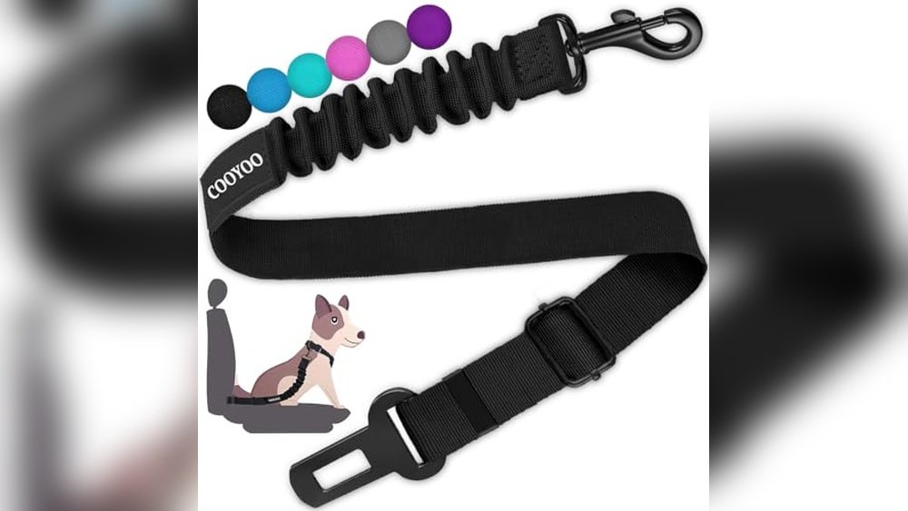 Best Dog Seat Belt Clip for Car