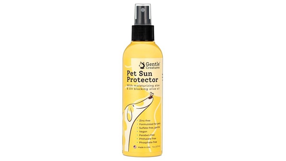Best Dog Sunscreen
