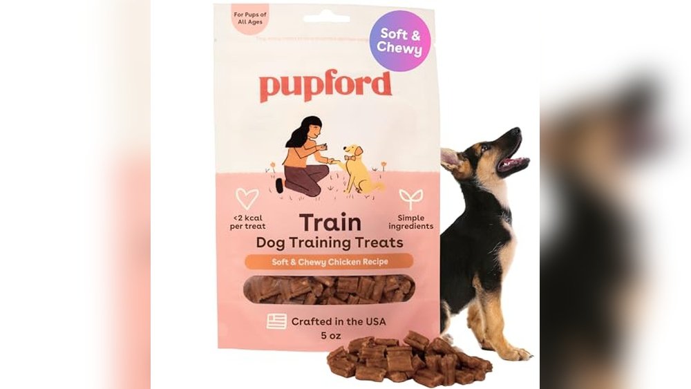 Best Dog Treats for Puppies