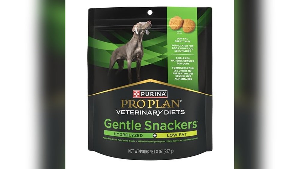 Best Dog Treats for Weight Loss