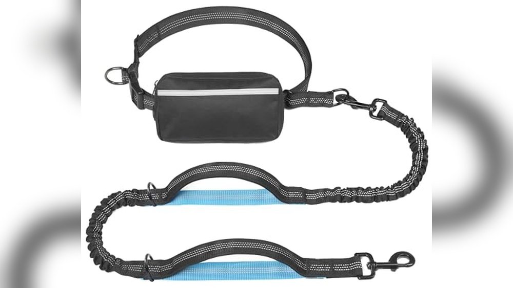 Best Dog Trekking Pole Leash System