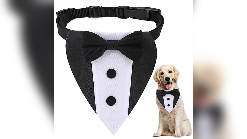 Best Dog Tuxedo for Weddings