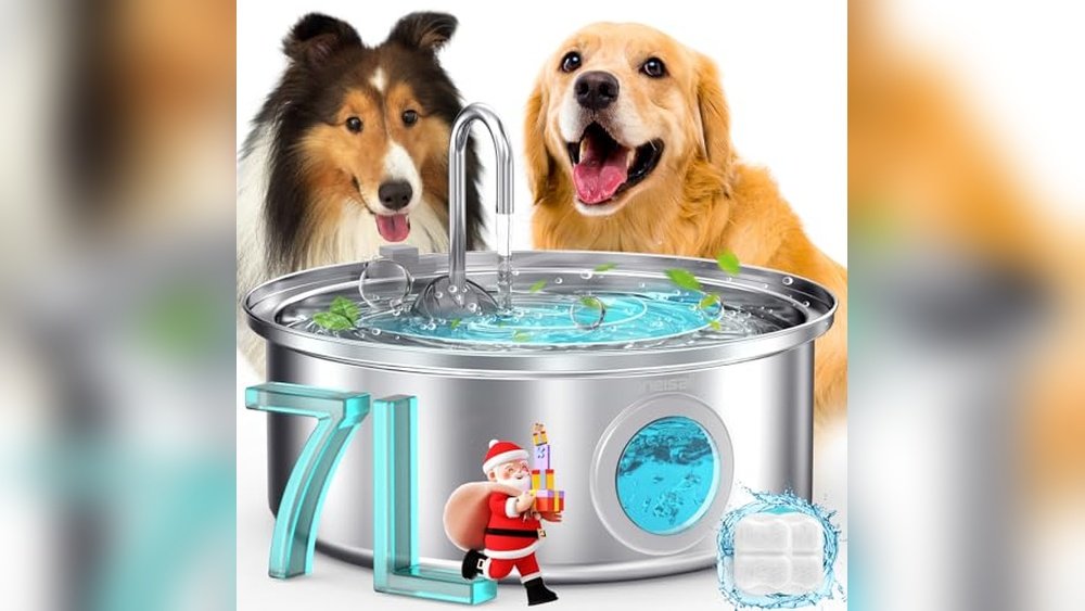 Best Dog Water Fountain