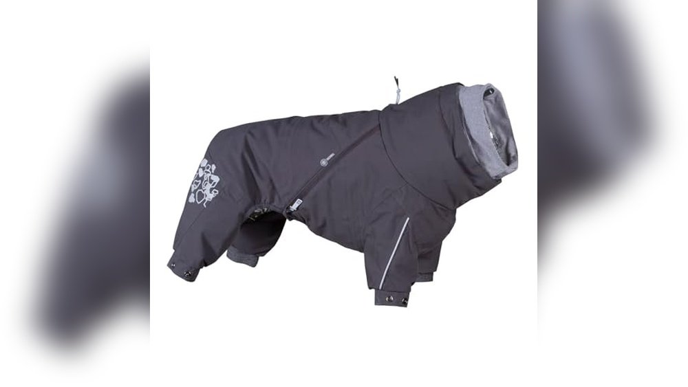 Best Dog Winter Coat for Extreme Cold