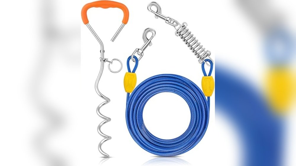 Best Dog Yard Leash Stake