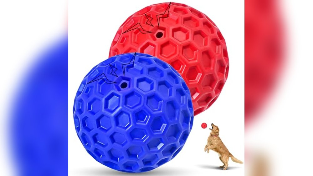 Best Durable Dog Balls
