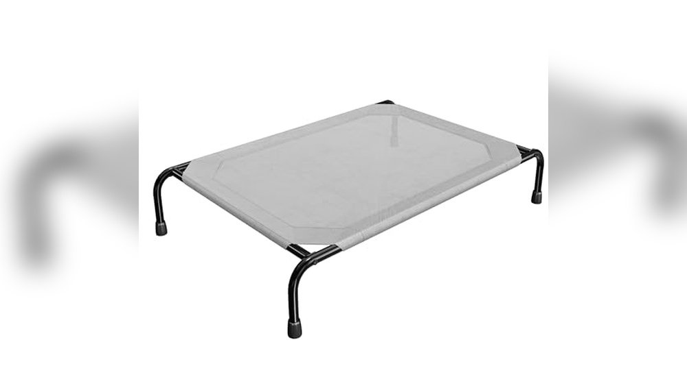 Best Elevated Dog Cot Bed