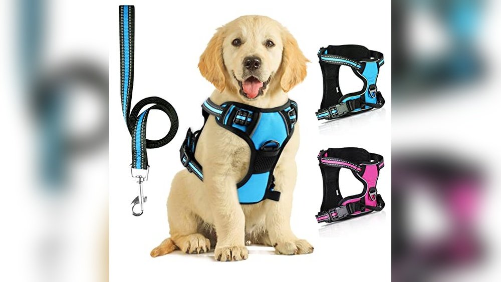 Best Escape Proof Harness for Dogs