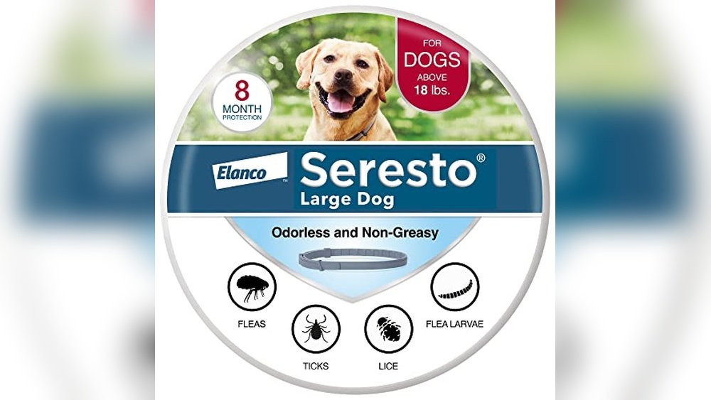 Best Flea Collar for Dogs
