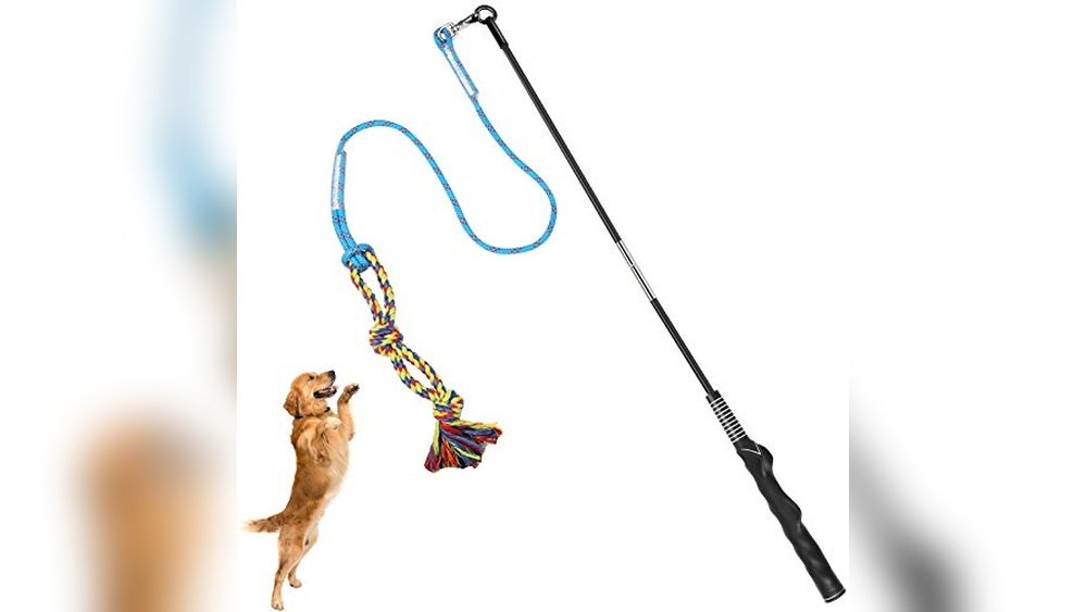 Best Flirt Pole Toys for Dogs