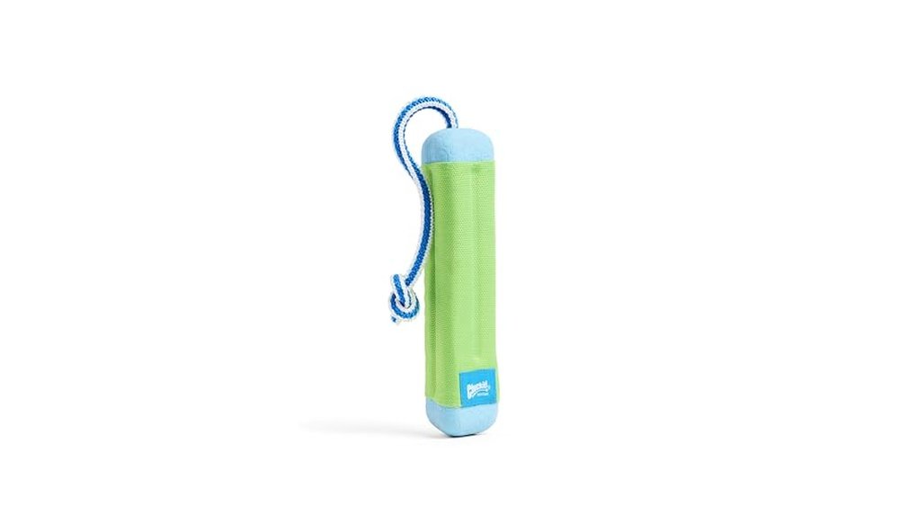 Best Floating Dog Toys for Water Play