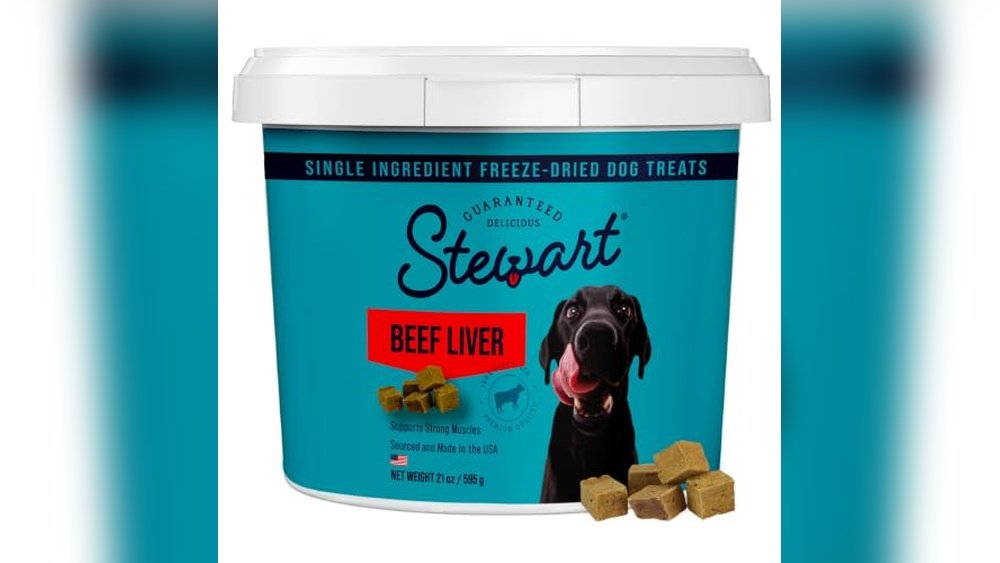 Best Freeze Dried Dog Treats