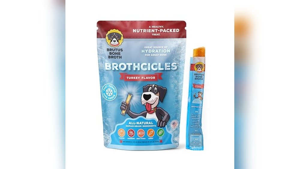 Best Frozen Dog Treats for Summer