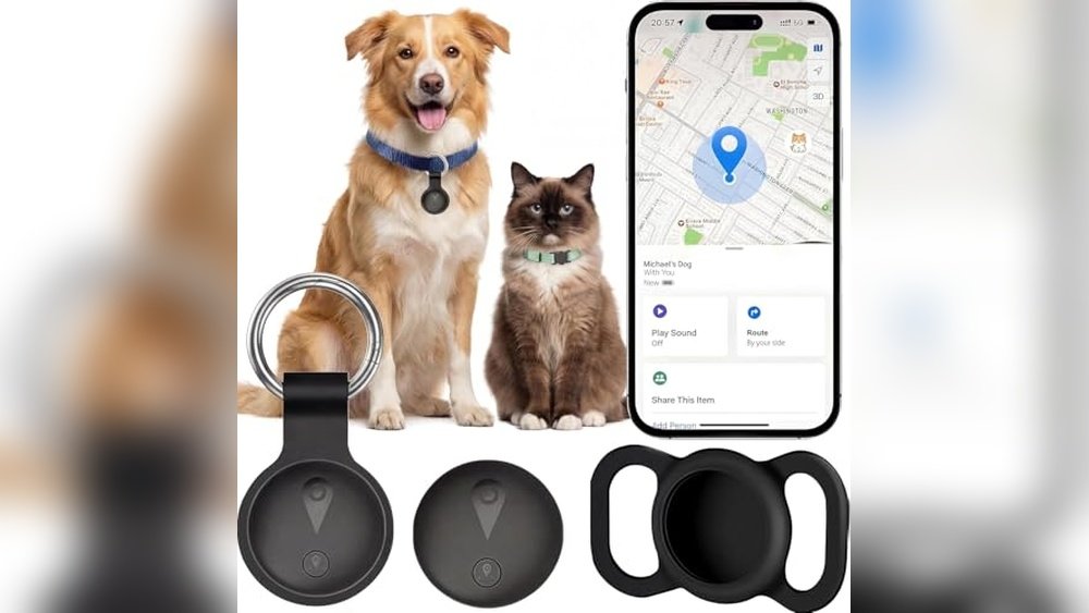 Best Gps Dog Collar Tracker