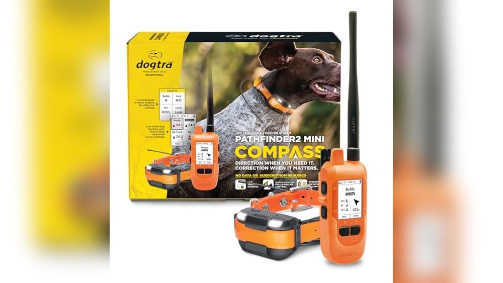 Best Gps Tracker for Hunting Dogs