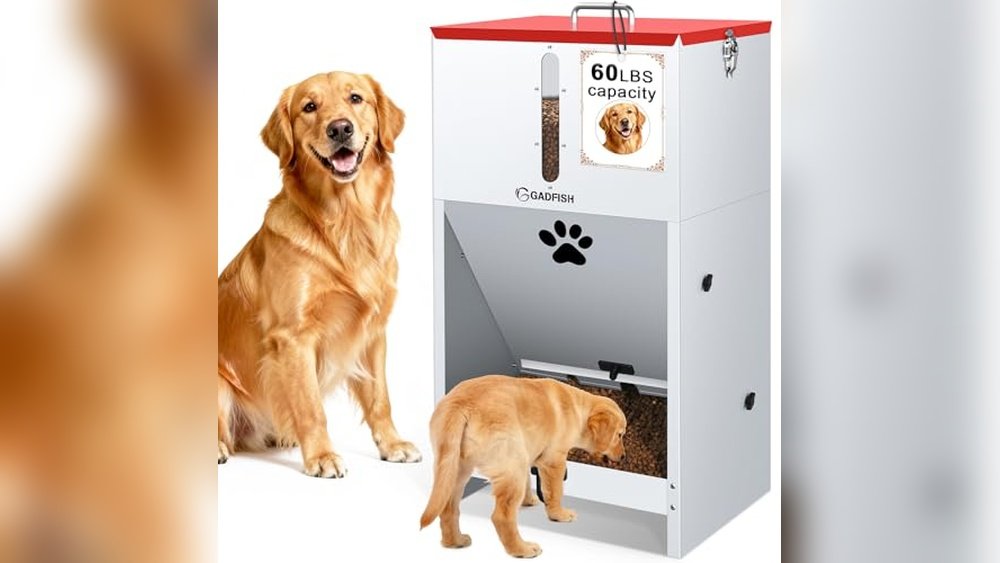 Best Gravity Dog Feeder