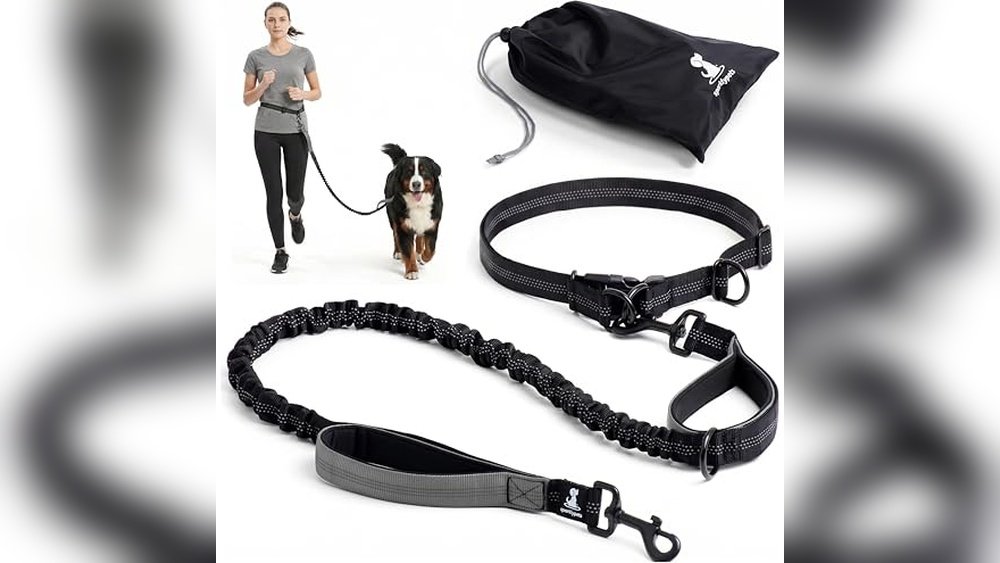 Best Hands Free Dog Leash for Running