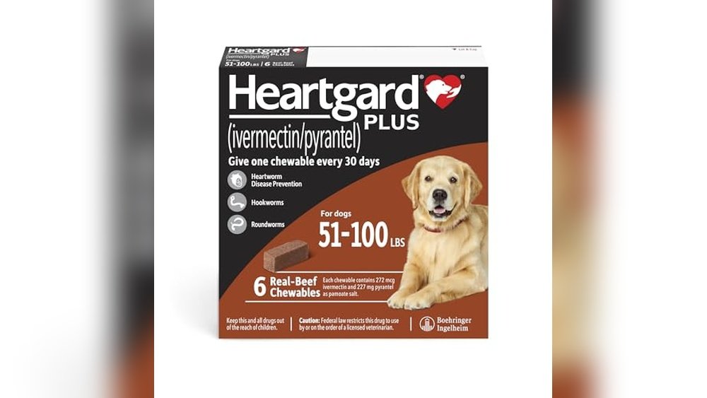 Best Heartworm Prevention for Dogs