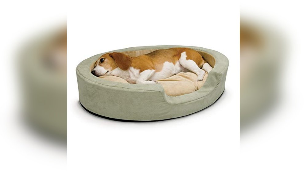 Best Heated Dog Bed