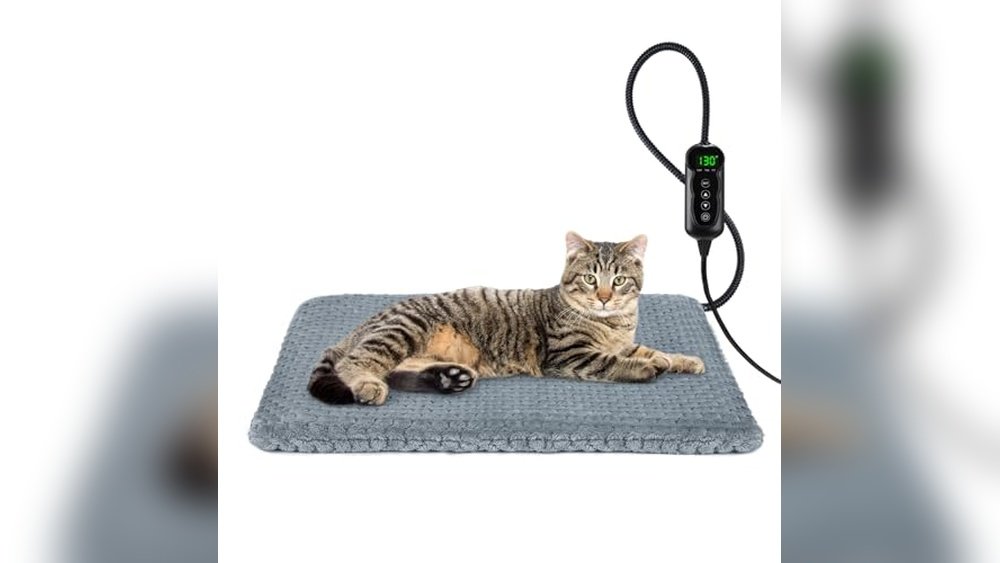 Best Heating Pad for Arthritic Dogs 2026: Top Picks for Pain Relief