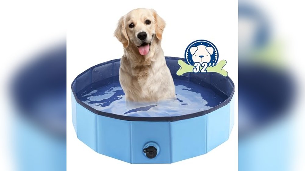 Best Inflatable Dog Bath Tub