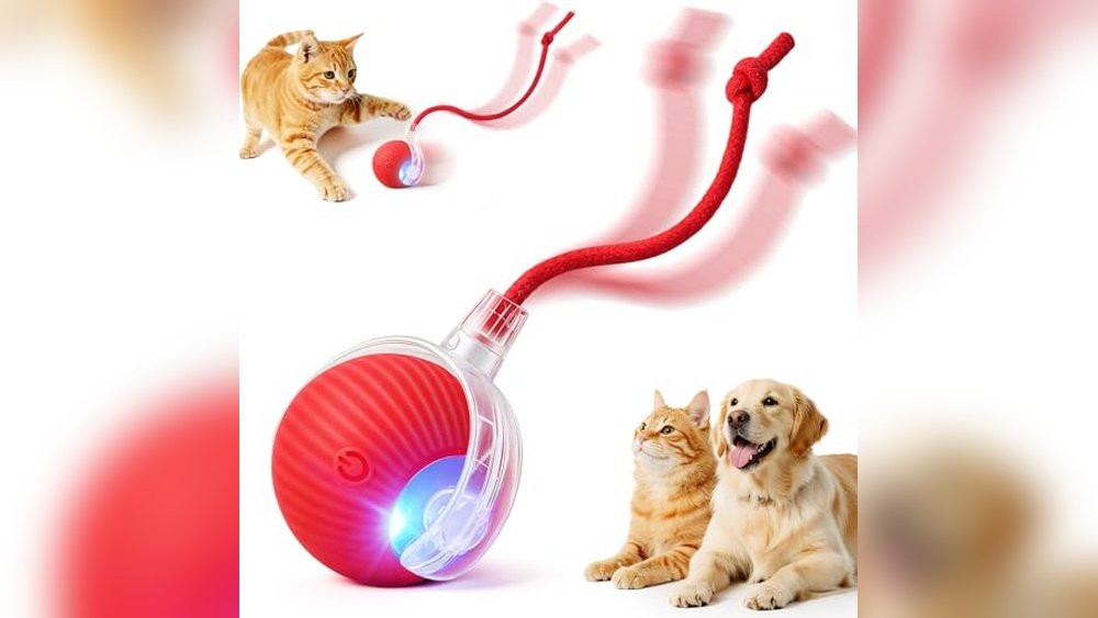 Best Interactive Electronic Dog Toys