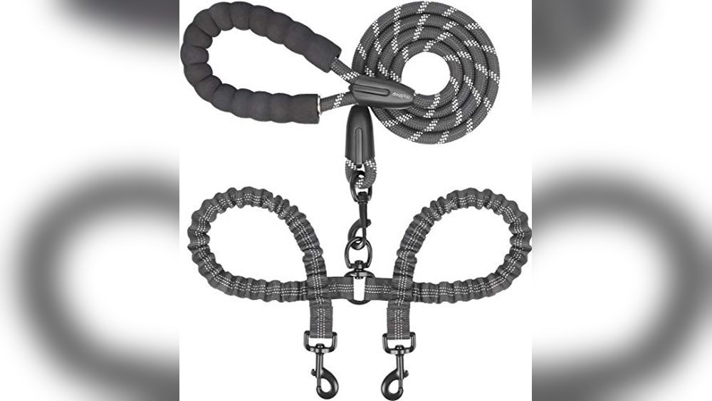 Best Leash for Walking Two Dogs