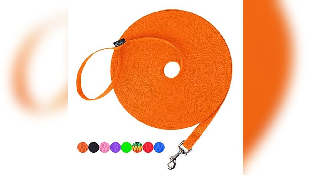 Best Long Line Training Leash for Dogs