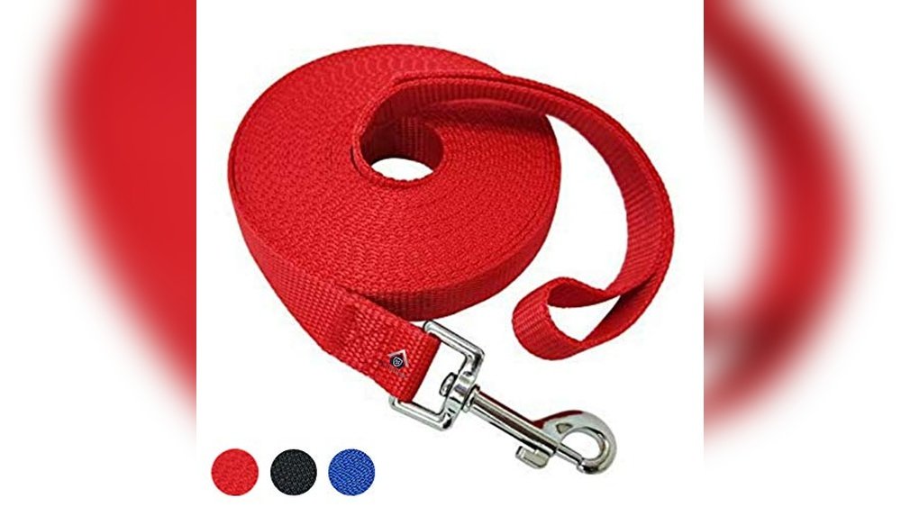 Best Long Recall Training Lead 50Ft