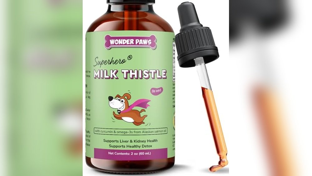 Best Milk Thistle for Dogs