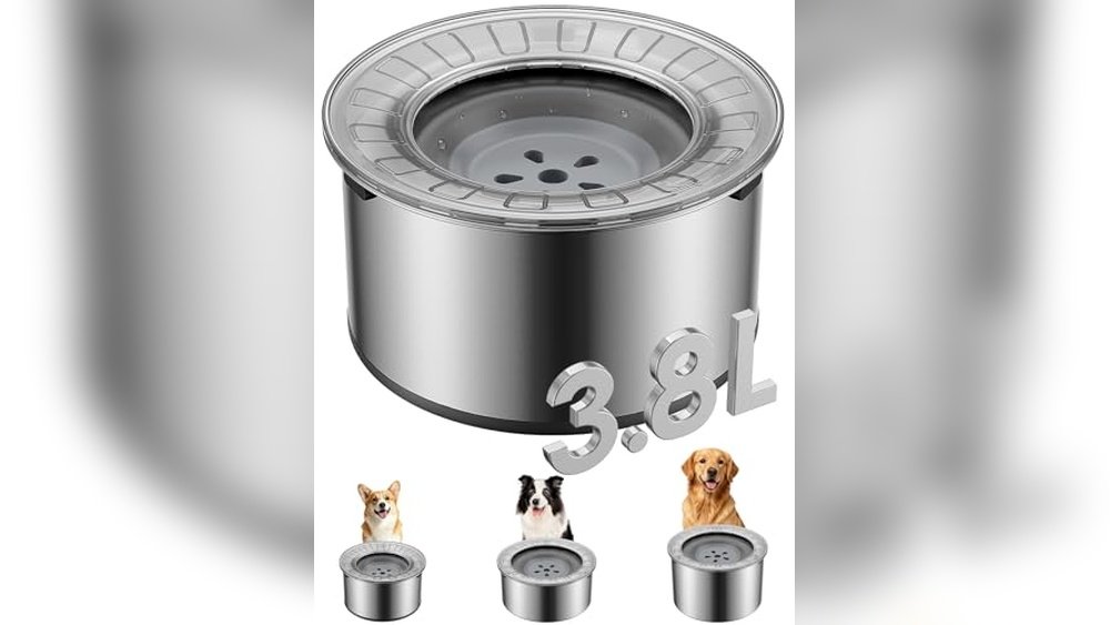 Best No Spill Dog Water Bowl