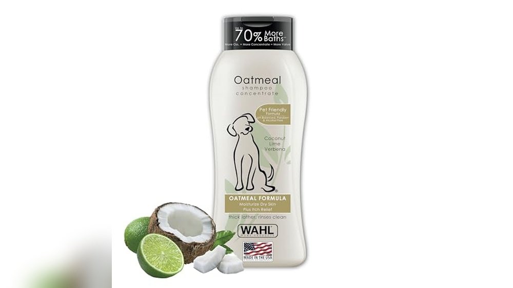 Best Oatmeal Dog Shampoo for Itchy Skin
