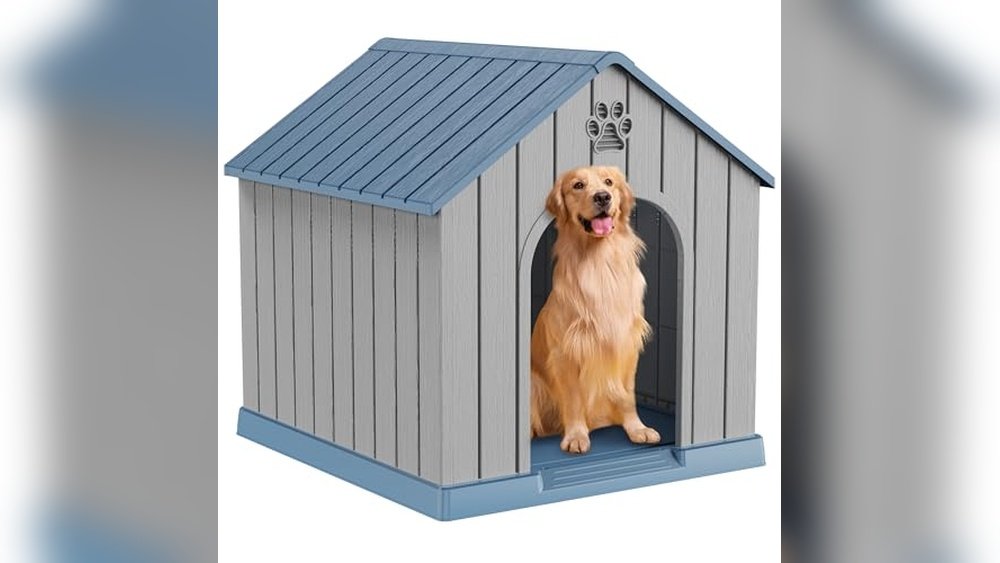 Best Outdoor Dog House
