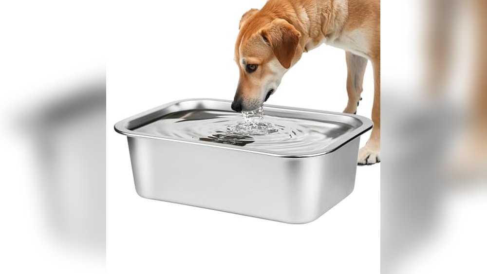 Best Outdoor Water Trough for Dogs